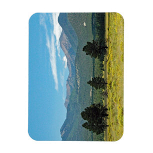 Íman Flagstaff, Arizona