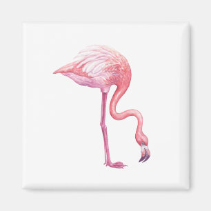 Íman Flamingo