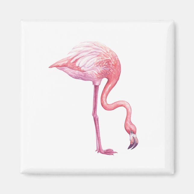 Íman Flamingo (Frente)