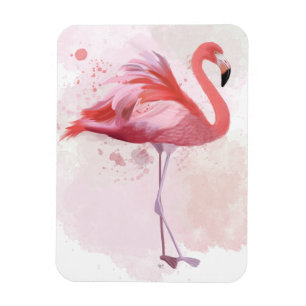 Íman Flamingo
