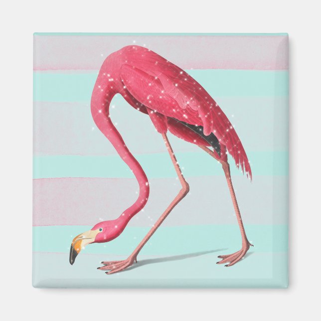 Íman Flamingo (Frente)