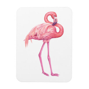 Íman Flamingo 2