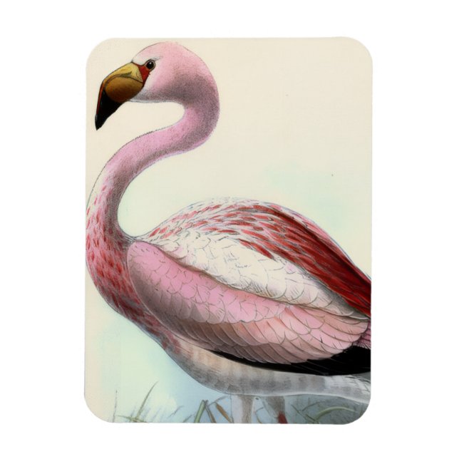 Íman Flamingo Antigo (Vertical)