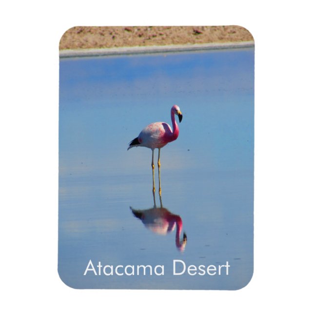 Íman Flamingo Atacama Desert - Imagem Flexível (Vertical)