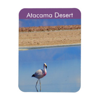 Íman Flamingo Atacama Desert - Imagem Flexível