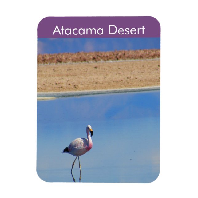 Íman Flamingo Atacama Desert - Imagem Flexível (Vertical)