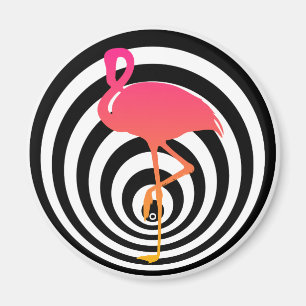 Íman Flamingo bonito nos círculos