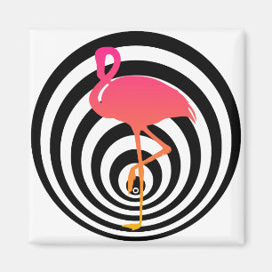Íman Flamingo bonito nos círculos