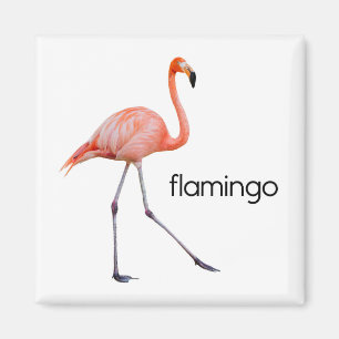 Íman Flamingo cor-de-rosa