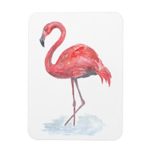 Íman Flamingo cor-de-rosa da aguarela.
