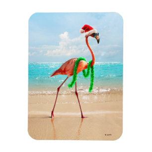 Íman Flamingo de Natal na Praia