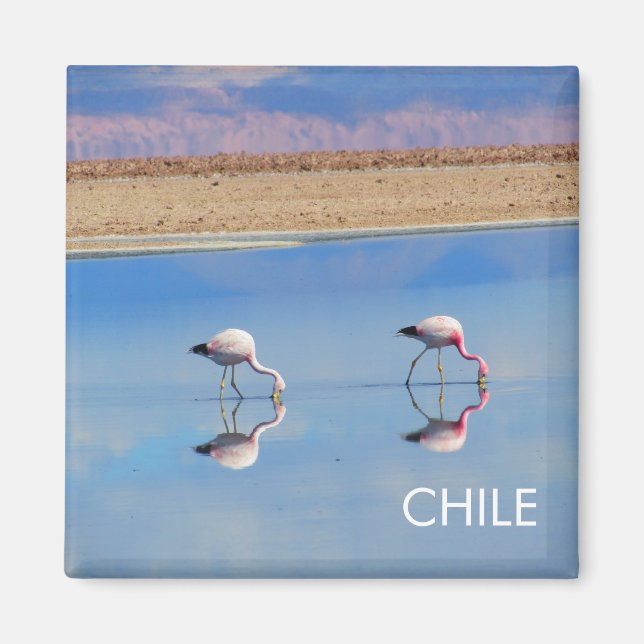 Íman Flamingo, Deserto de Atacama, Imagem do Chile (Frente)