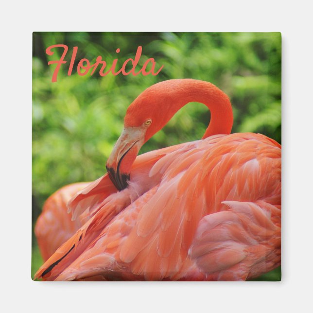 Íman Flamingo Magnet Square (Frente)