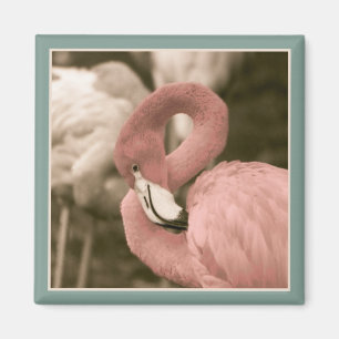Íman Flamingo Modestável