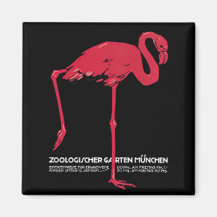 Íman Flamingo Pássaro Rosa Antigo no Zoológico de Muniq
