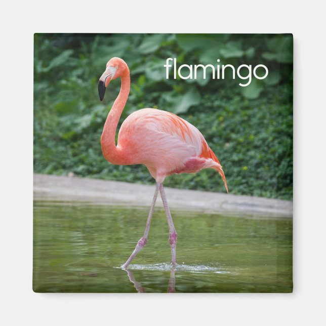 Íman Flamingo Refrigerator Magnet (Frente)