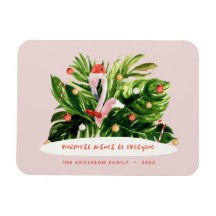 Flamingo tropical de Natal, botânico da palma