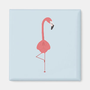 ÍMAN FLAMINGO YOGA