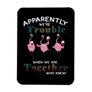 Íman Flamingos Aparentemente somos Flamingos
