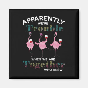 Íman Flamingos Aparentemente somos Flamingos