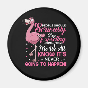 Íman Flamingos As Pessoas Devem Parar De Esperar Norma