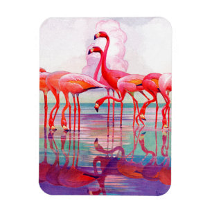 Íman Flamingos cor-de-rosa por Francis Lee Jaques