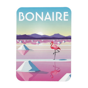 Íman Flamingos em Bonaire Caribe Holandês