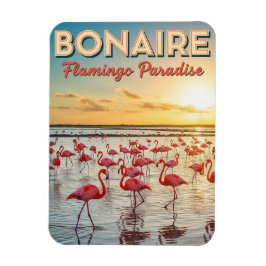 Íman Flamingos em Bonaire Caribe Holandês
