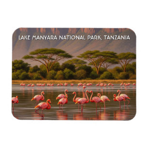 Íman Flamingos no Parque Nacional do Lago de Manyara, n