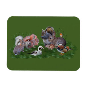 Íman Flexi Magnet Para Animais Da Madeira