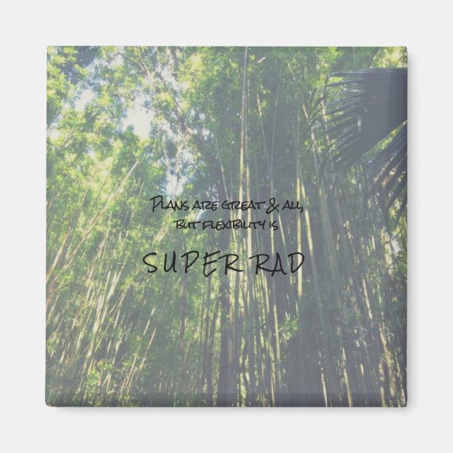 Íman Flexibilidade é um magneta de citação super rápida (Frente)