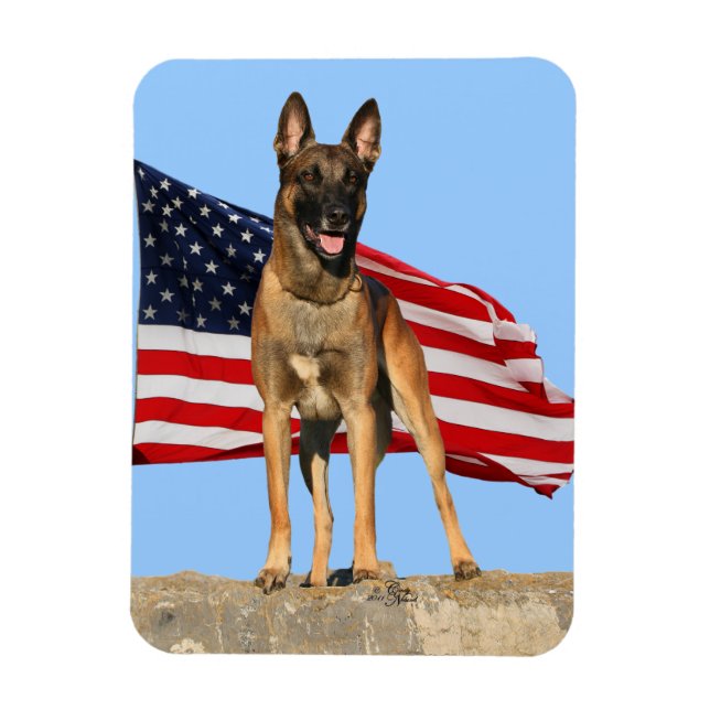 Íman flexível Malinois e Flag (Vertical)