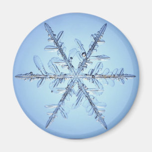 Íman floco de neve