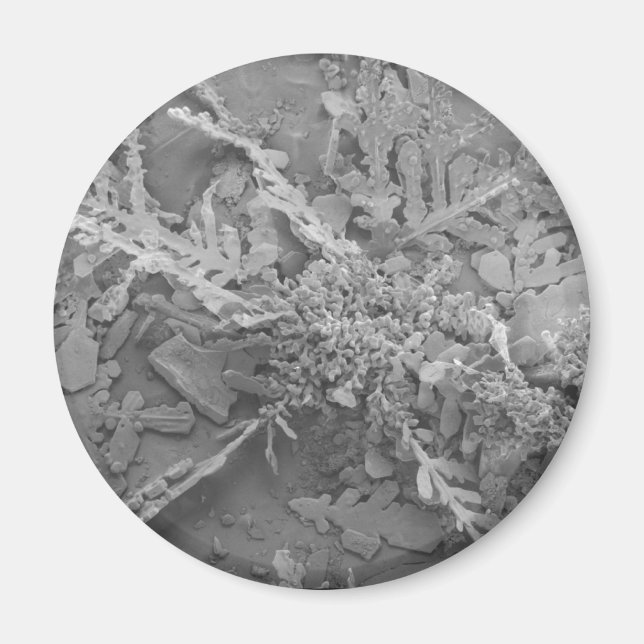 Íman Floco de neve 1 (Frente)