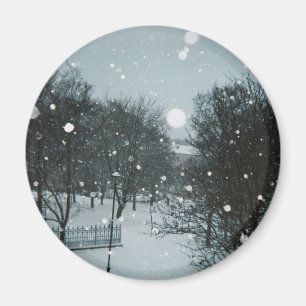Íman Flocos de inverno