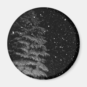 Íman flocos de neve à noite fotografia única