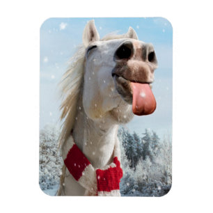 Íman Flocos de neve com cavalos