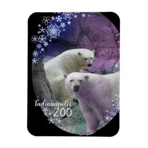 Íman Flocos de neve do urso polar do jardim zoológico