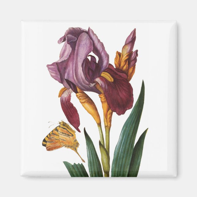 Íman Flor (Frente)