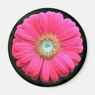 Íman Flor