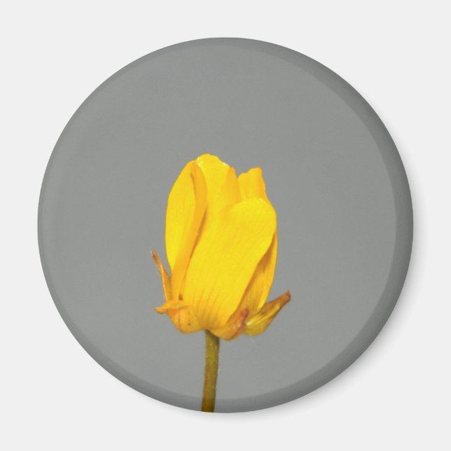 Íman Flor Amarelo (Frente)