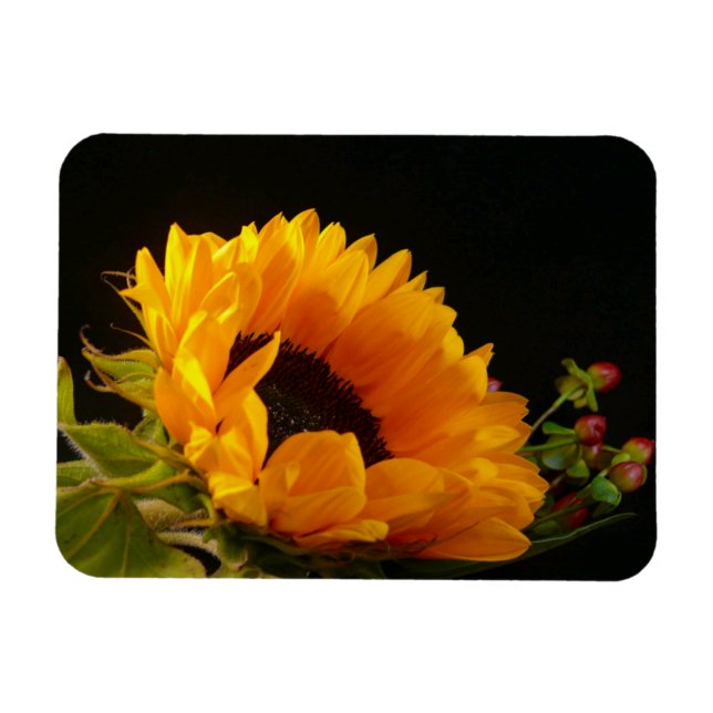 Íman Flor Amarelo de Girassol (Horizontal)