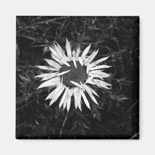 Íman Flor Antigo