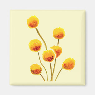 Íman Flor australiana indígena Billy Button Amarelo