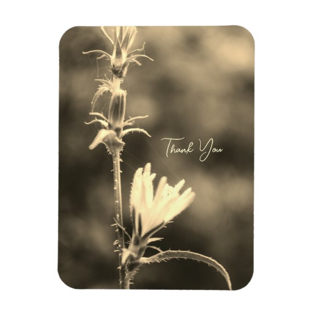 Íman Flor Boho Romântica – Fantasia Botânica Obrigada (Vertical)