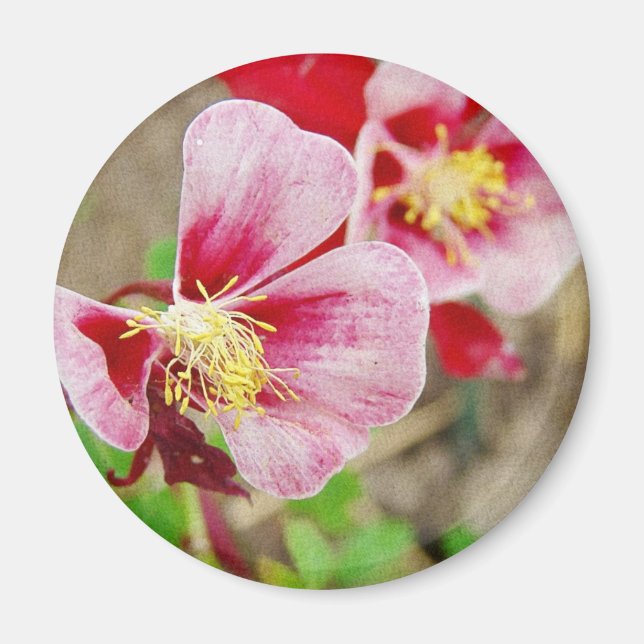 Íman Flor bonito 2 (Frente)