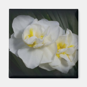 Íman Flor branca