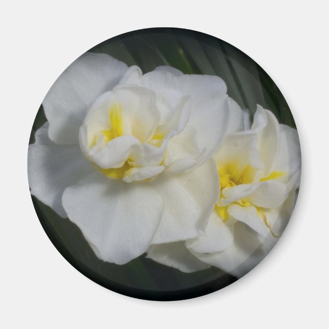 Íman Flor branca (Frente)