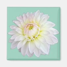 Íman Flor branca e rosa