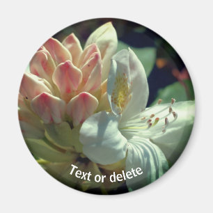 Íman Flor Branco Azalea Personalizado